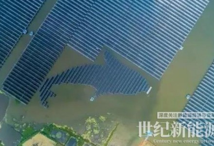 泗洪1000MW光伏領(lǐng)跑者項(xiàng)目被勒令拆除整改！