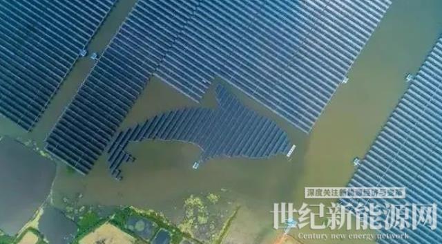 泗洪1000MW光伏領跑者項目被勒令拆除整改！