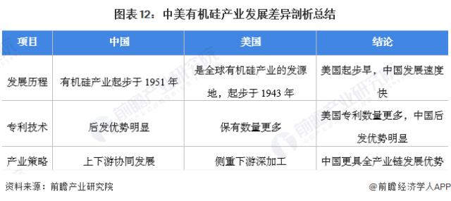 圖表12：中美有機硅產業發展差異剖析總結