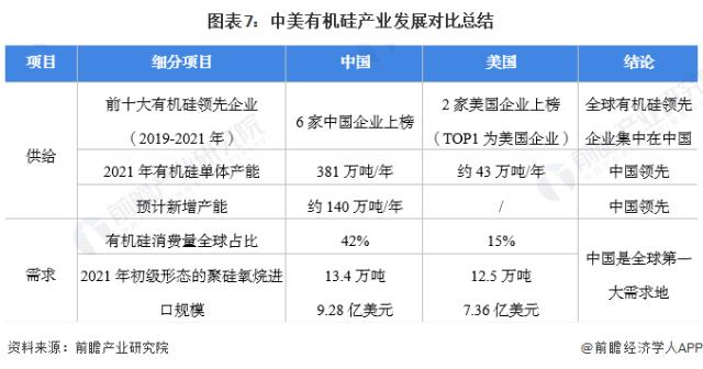 圖表7：中美有機硅產業發展對比總結