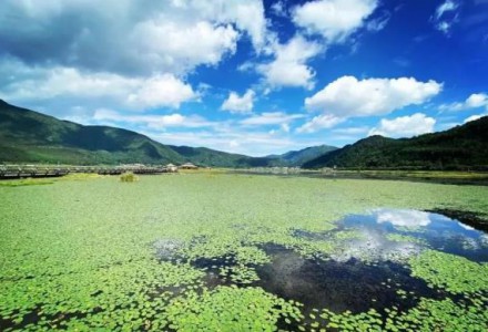 錦浪科技：光伏逆變器龍頭的產能焦慮與野望