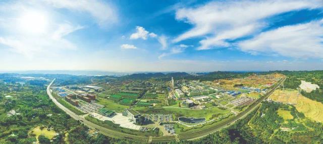 通威40年:持續引領發展的底層邏輯是什么?
