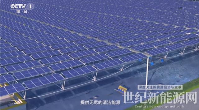 通威品牌價值1610.58億元!蟬聯全球水產和光伏兩大行業第一
