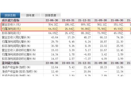 中報見喜！4000億“光伏茅”卻暗藏隱憂？