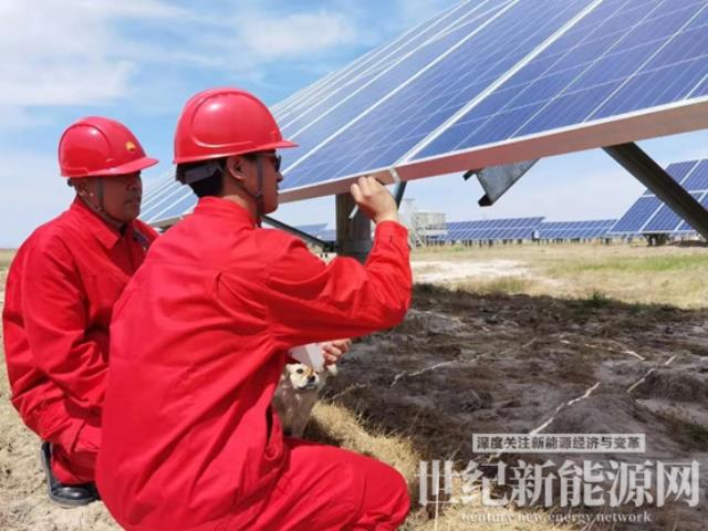 吉林油田:“綠電”點(diǎn)亮未來(lái)