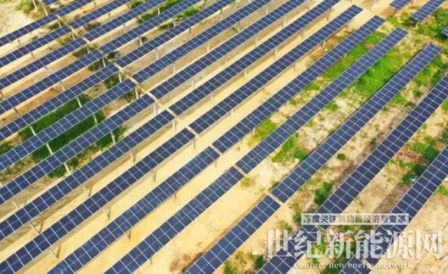 2000畝光伏發電“點亮”鄉村振興路
