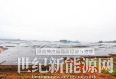 云南首個“藥光互補”光伏發電項目下月投產