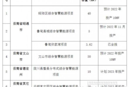 540.62MW！國家電投云南國際發(fā)布分布式光伏電站運(yùn)行維護(hù)檢修服務(wù)招標(biāo)