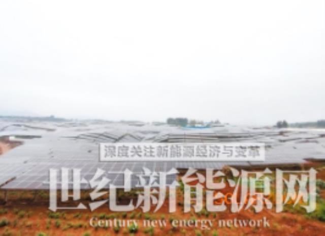 云南首個“藥光互補”光伏發電項目下月投產