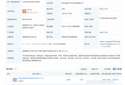 金盤科技于海口投資設(shè)立光伏發(fā)電公司，經(jīng)營范圍含蔬菜種植