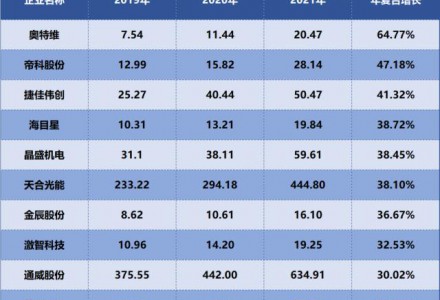TOPCON電池，誰是成長最快企業(yè)？