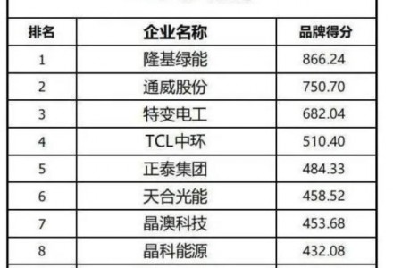 隆基綠能斬獲全球光伏品牌兩項第一
