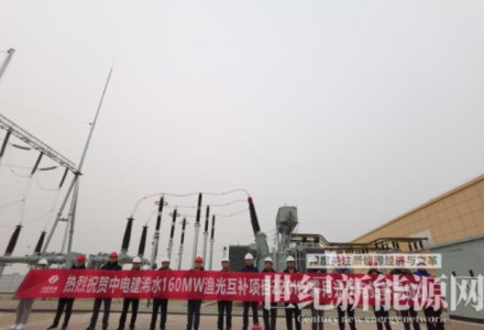湖北浠水漁光互補(bǔ)項(xiàng)目并網(wǎng)