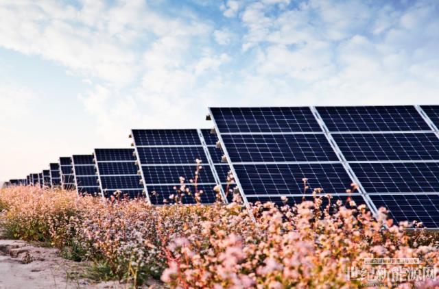 中國華能“嘗鮮” 攜隆基綠能打造高性價比光伏電站