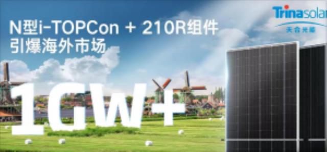 超1GW訂單！天合N型i-TOPCon + 210R組件引爆海外市場