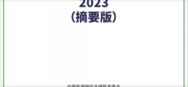 7.3GW/15.9GWh!《儲(chǔ)能產(chǎn)業(yè)研究白皮書2023》前言發(fā)布