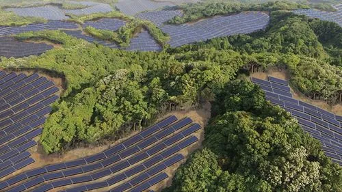 財政部:臨時占用林地將不再收取植被恢復費