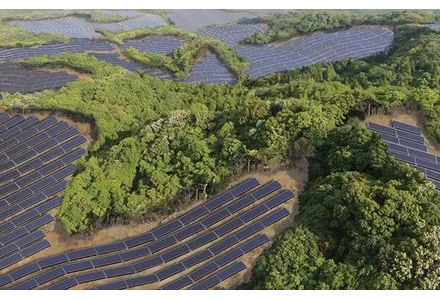 財政部:臨時占用林地將不再收取植被恢復(fù)費(fèi)