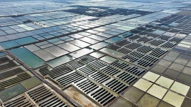 華能首個鹽光互補項目在山東并網發電