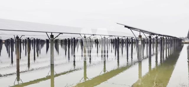 漁業養殖+光伏發電!邁貝特廣東開平50MW漁光互補光伏項目開工