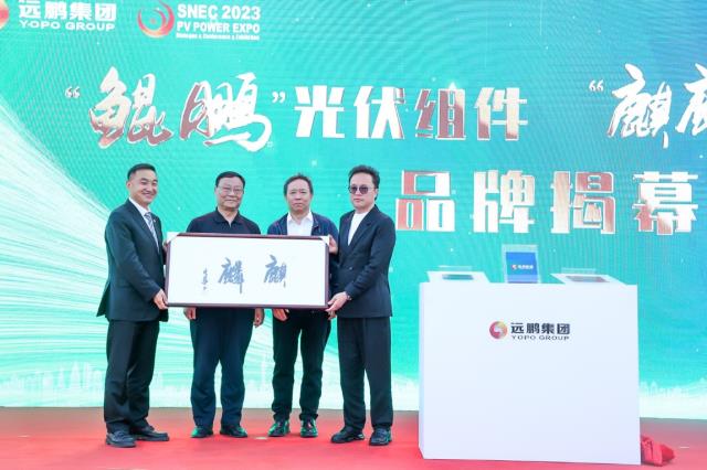 中國電力企業(yè)聯(lián)合會(huì)劉開俊、原大唐電力董事長陳進(jìn)行蒞臨遠(yuǎn)鵬“鯤鵬”“麒麟”新品發(fā)布會(huì)