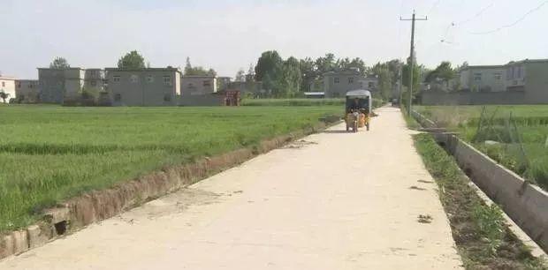 【權威報道】村主任帶領村民建光伏增收10萬元，表示還要再擴建！