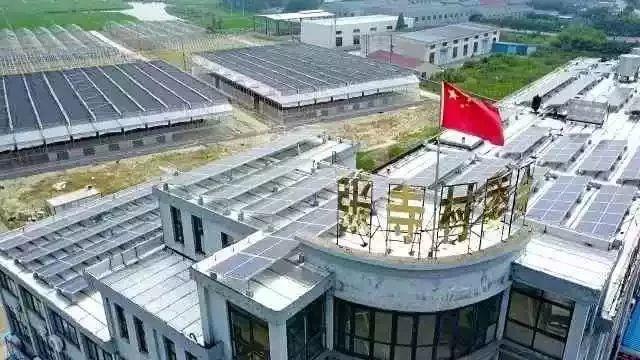 【權威報道】村主任帶領村民建光伏增收10萬元，表示還要再擴建！