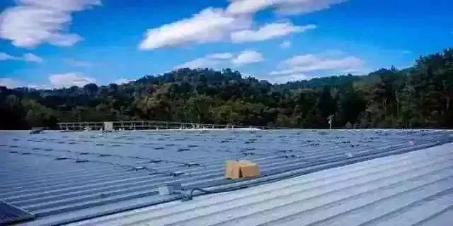 【權威報道】村主任帶領村民建光伏增收10萬元，表示還要再擴建！