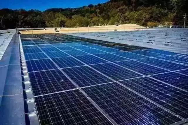【權威報道】村主任帶領村民建光伏增收10萬元，表示還要再擴建！