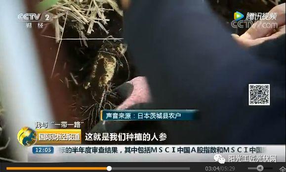 CCTV2《我與“一帶一路”》：30MW ，日本最大“農光互補”光伏電站中國造 ！當地農民增收10倍 ！