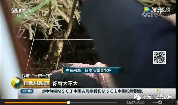 CCTV2《我與“一帶一路”》：30MW ，日本最大“農光互補”光伏電站中國造 ！當地農民增收10倍 ！
