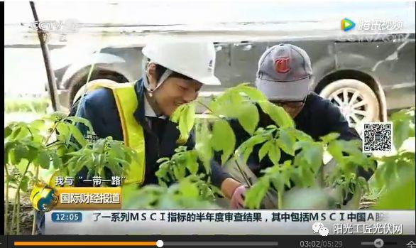 CCTV2《我與“一帶一路”》：30MW ，日本最大“農光互補”光伏電站中國造 ！當地農民增收10倍 ！