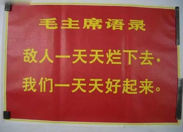 干戶用光伏秘籍：熟讀《毛主席語錄》！