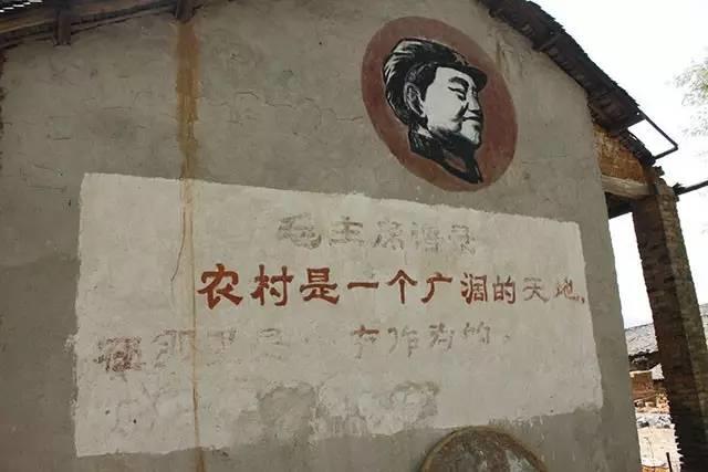 干戶用光伏秘籍：熟讀《毛主席語錄》！