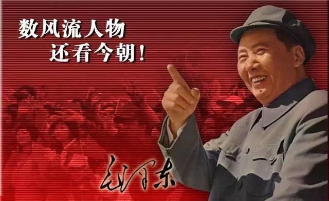 干戶用光伏秘籍：熟讀《毛主席語錄》！