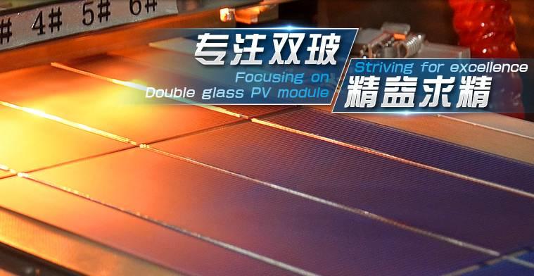 白首如新 傾蓋如故：那些讓你一見如故的光伏企業