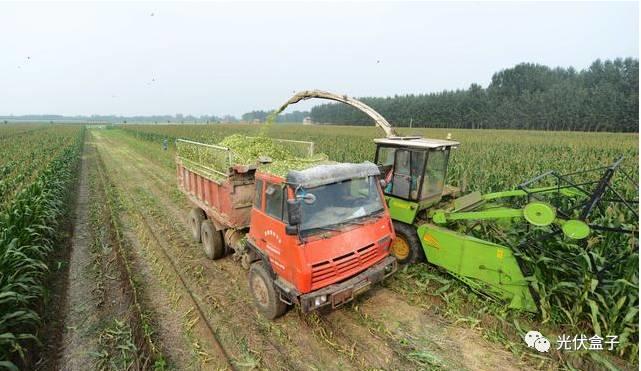 爆料！農村未來5年，最吃香的4種職業入選，奪得冠軍的竟然是“光伏發電”！
