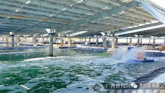 廣西首個海水漁光互補光伏電站并網發電