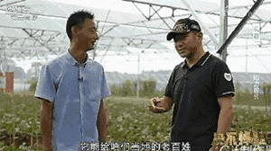 央視 | 這一次，光伏又一次在央視刷屏了！這個光伏項目給9.48萬的貧困人口“造血給養(yǎng)”