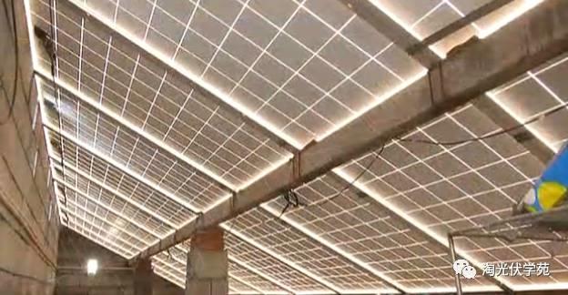 還有這種操作？光伏發(fā)電老頑童這么安裝電站
