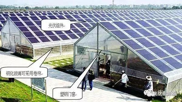 干貨| 光伏農業大棚 種類及投資預算