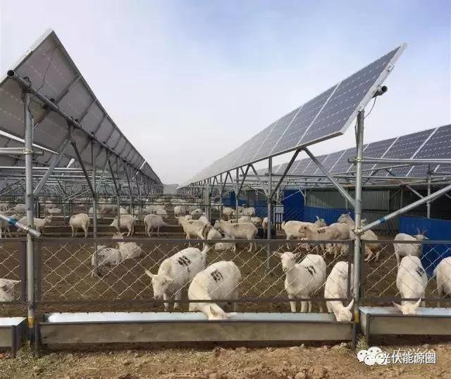 干貨| 光伏農業大棚 種類及投資預算