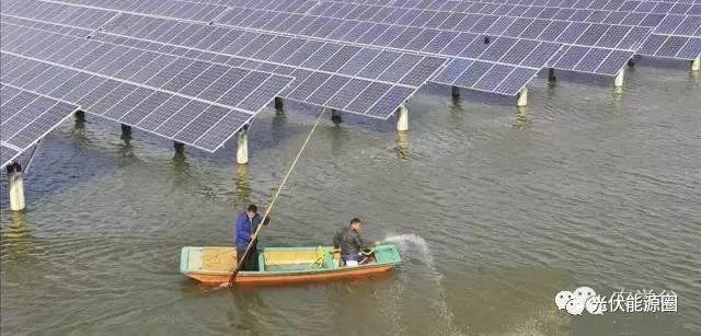 干貨| 光伏農業大棚 種類及投資預算