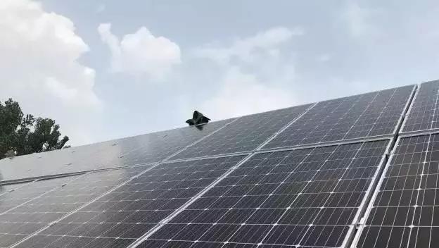 自家閑置屋頂變資源，太陽能光伏發電是如何讓老百姓獲益的？