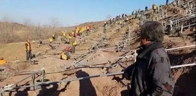 警惕 | 光伏電站百余萬用地款被騙？政府、村民、投資公司陷入困境...