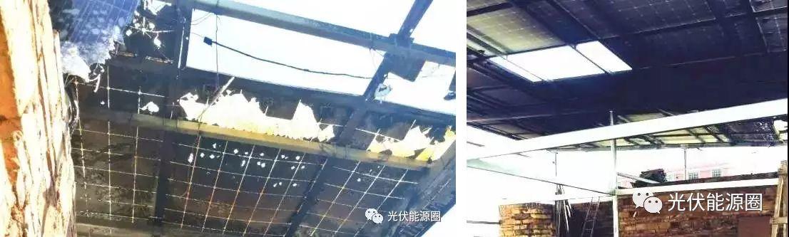嚇人！今年這些老鄉因為貪便宜人財俱損！