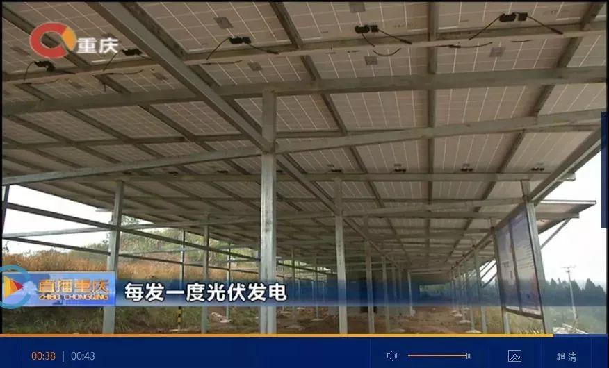 減排 | 我的光伏發電比你多一項補貼！每發一度電1.01元！