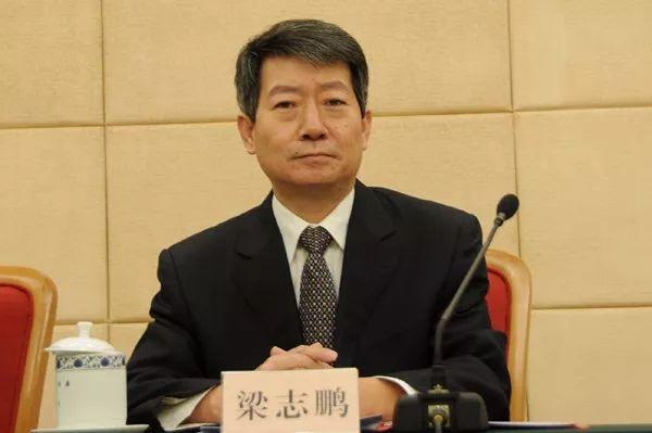 權(quán)威發(fā)布丨梁志鵬：我國光伏發(fā)電量達(dá)1182億千瓦時，成同比增長最快的可再生能源