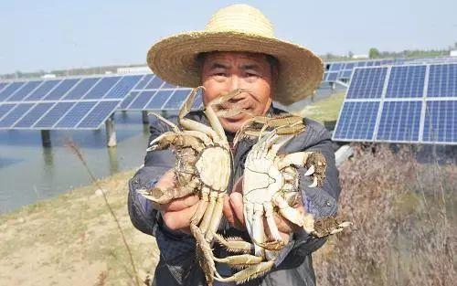 光伏曝光的這些計劃，關乎你的錢包和所有人的未來！