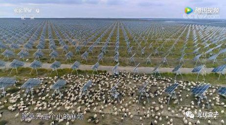 視頻 | 央視紀錄片！來看各地光伏電站，還有他的小伙伴！